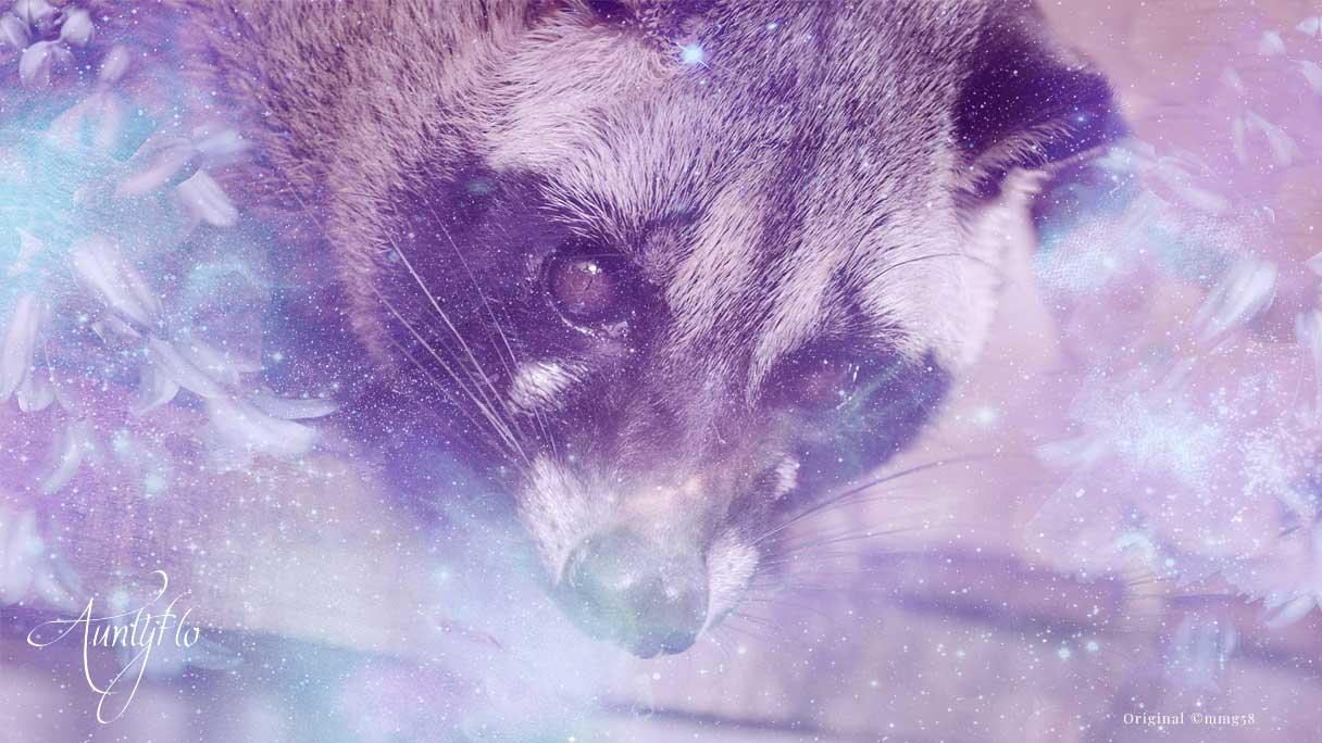 Civet pheromones 2024